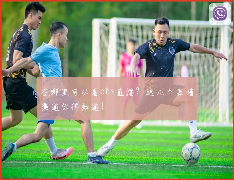 在哪里可以看cba直播？这几个靠谱渠道你得知道！