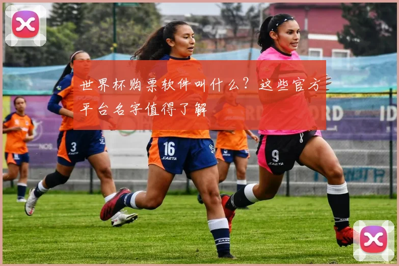 世界杯购票软件叫什么?这些官方平台名字值得了解