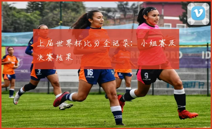 上届世界杯比分全记录:小组赛及决赛结果