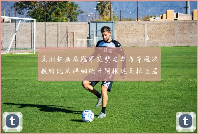 美洲杯历届冠军完整名单与夺冠次数对比及详细统计阿根廷乌拉圭居前