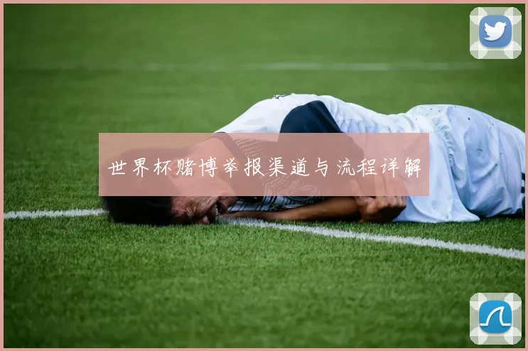 世界杯赌博举报渠道与流程详解