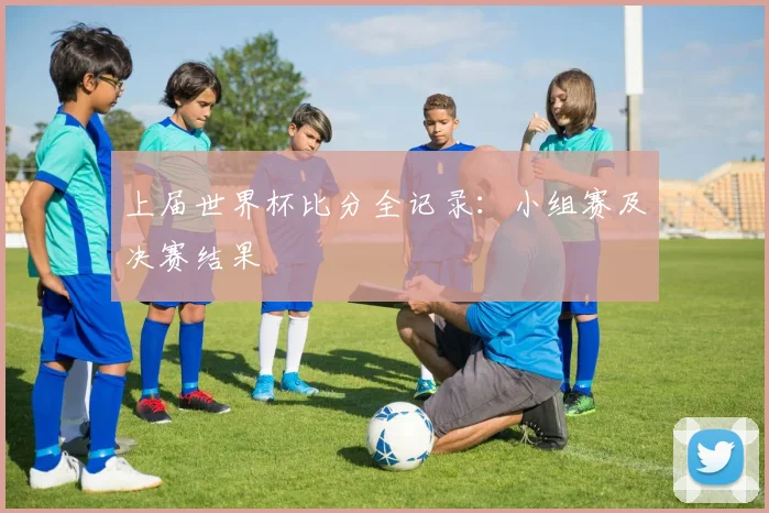 上届世界杯比分全记录:小组赛及决赛结果
